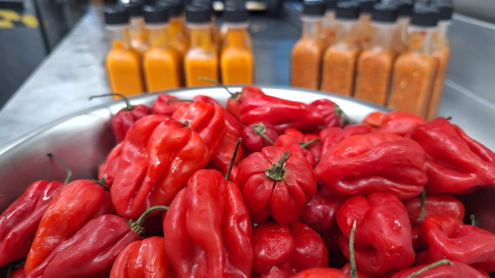 A bowl of fresh red habanero chillies, the base of Jungle Sauce